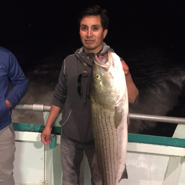 6-3 Sunset Stripers 2