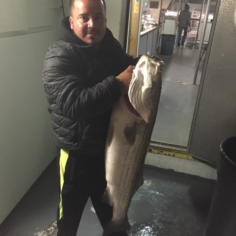 7-11 Sunset Stripers 1