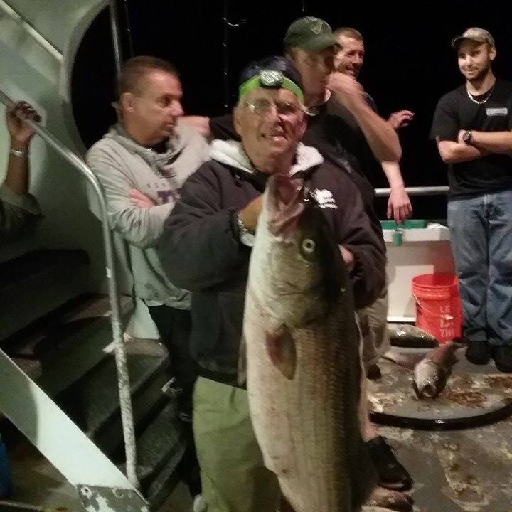 9-17-16 Striped Bass 1