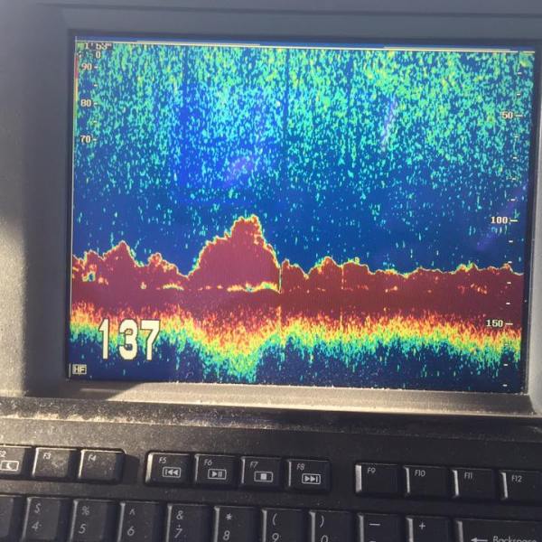 11-14 Block Is Bottom 4