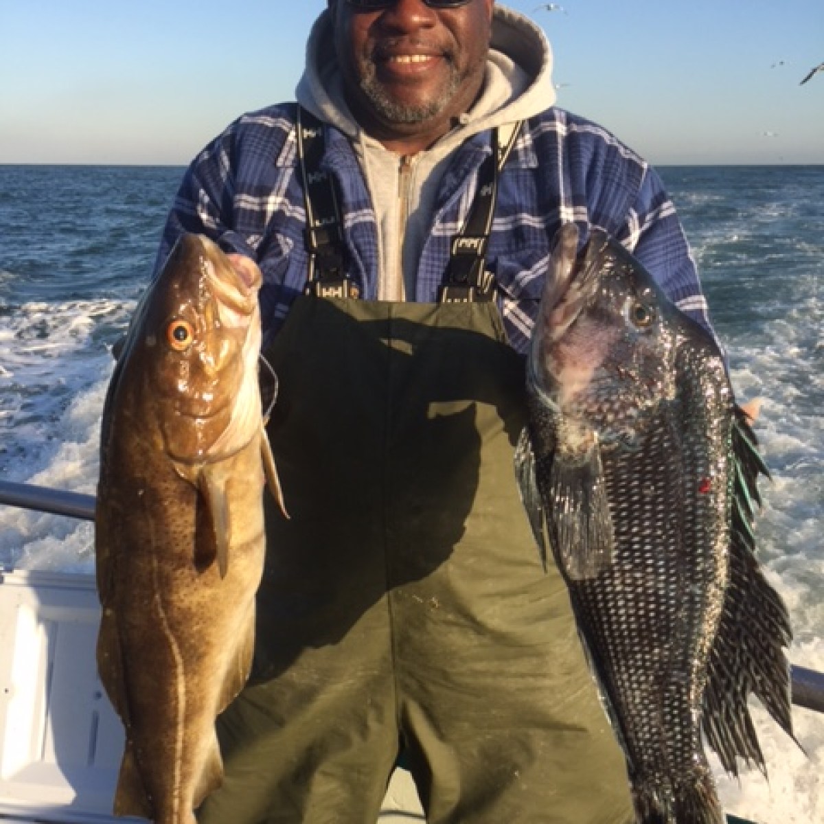 11-16 Cod& SB Star 2