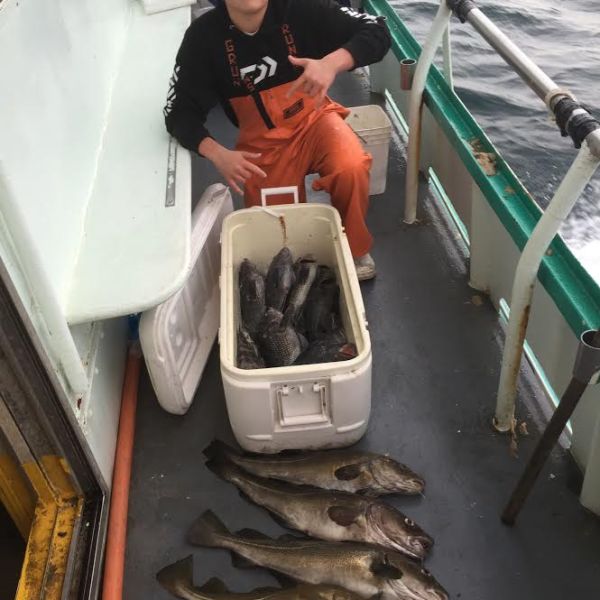 11.26.16 star cod sb 2