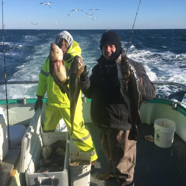 11.27.16 star cod sb2