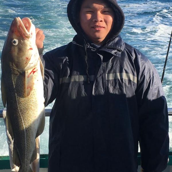 12.4.16 star cod sb5