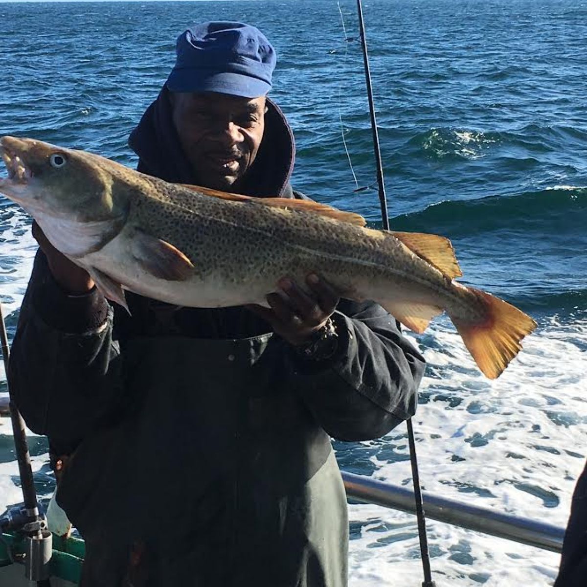 12.4.16 star cod sb9