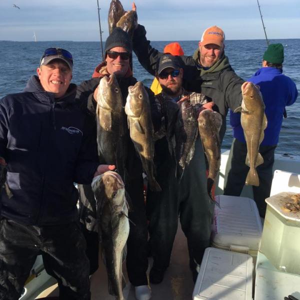 2016-12-13 BI Cod-SB 2