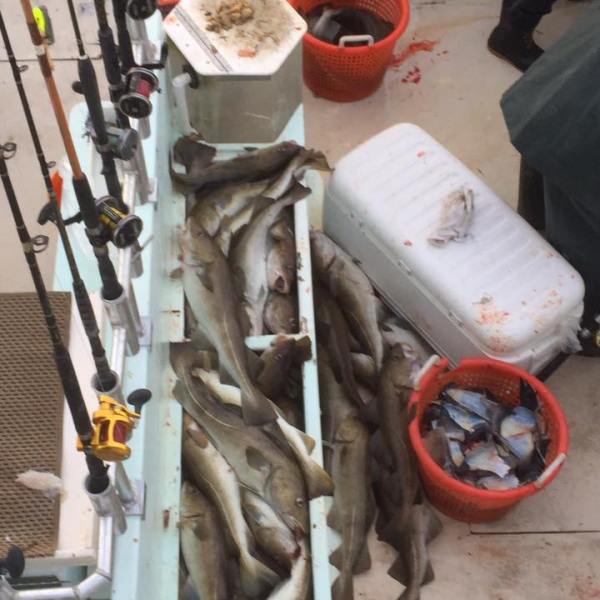 2016-12-19 Fivestar 6