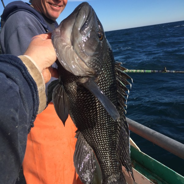 2016-12-6 Porgy 2
