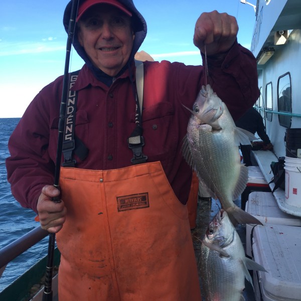 2016-12-6 Porgy 3