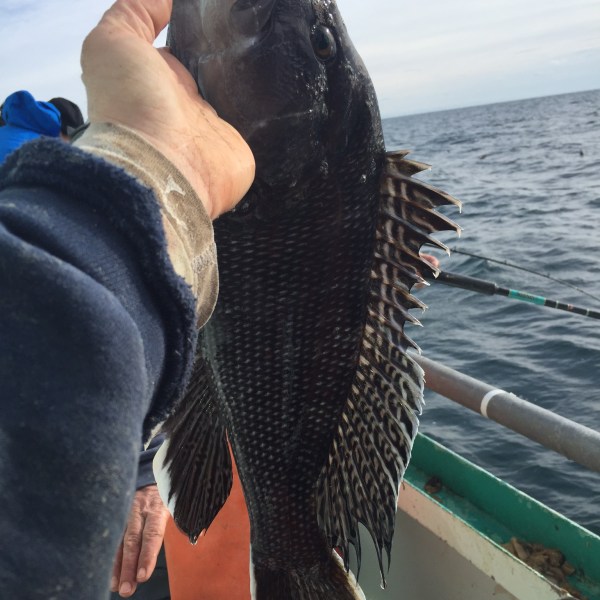 2016-12-6 Porgy 4