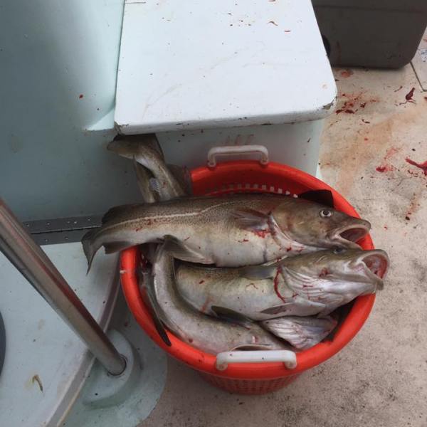 2016-12-7 Fivestar 5