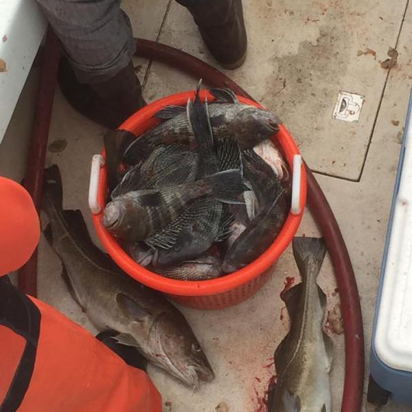 2016-12-7 Fivestar 8 (1)