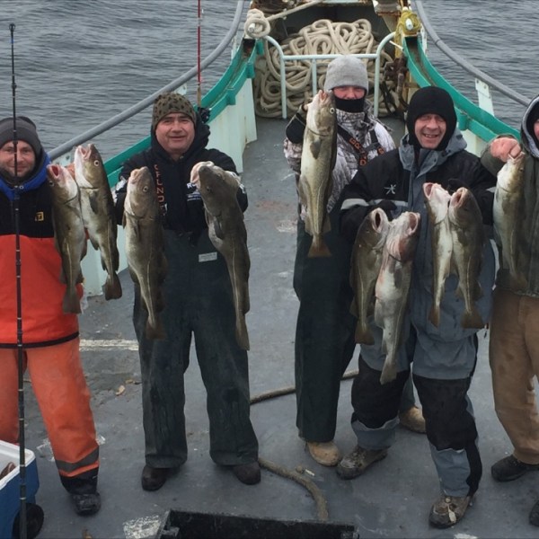 1.14.17 starship cod