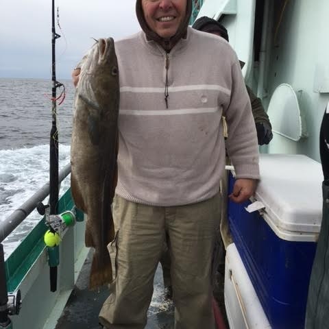 1.14.17 starship cod2