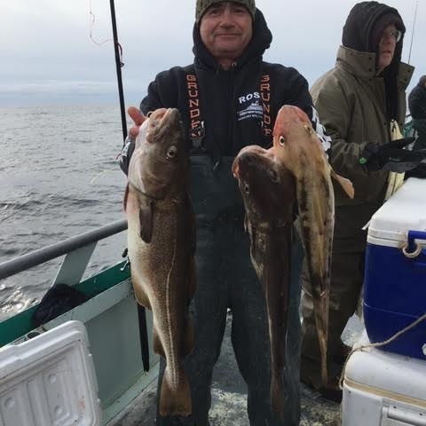 1.14.17 starship cod3