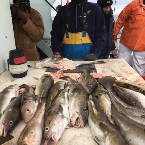 1.14.17 starship cod5