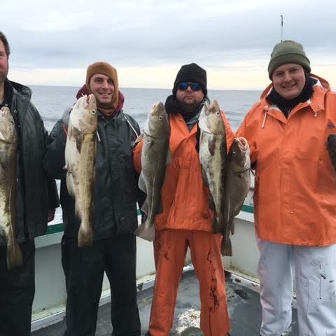 1.14.17 starship cod9