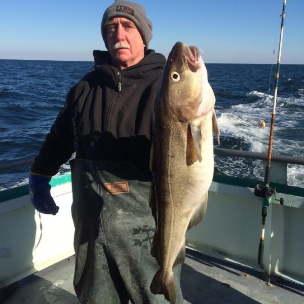 1.15.17 starship cod2