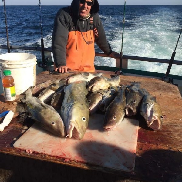 1.15.17 starship cod3