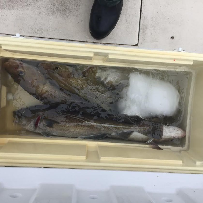 1.21.17 fivestar cod3