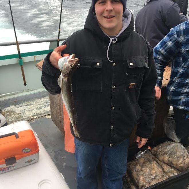 1.21.17 starship cod2