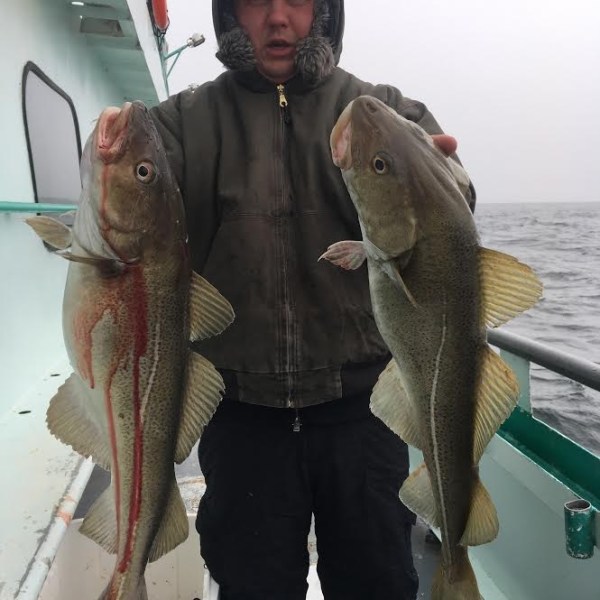 1.22.17 starship cod2