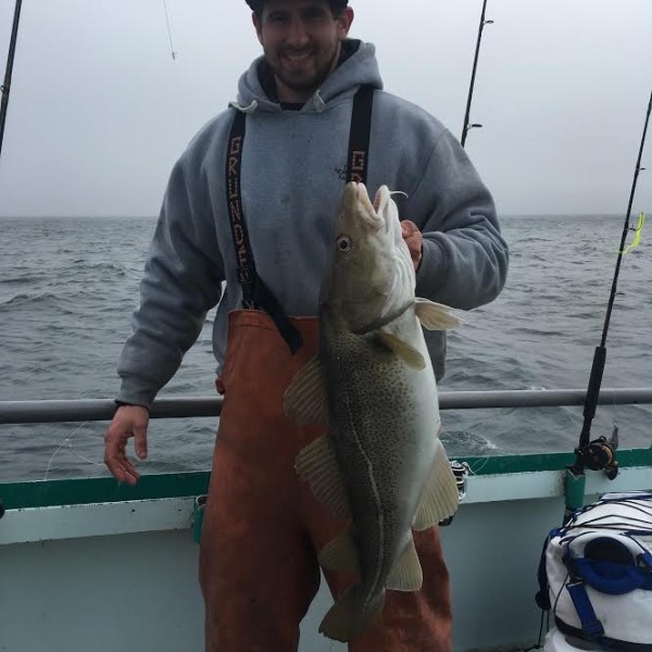 1.22.17 starship cod3