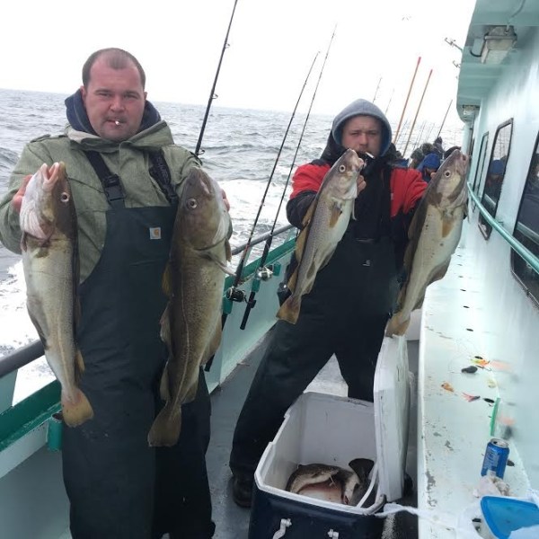 1.22.17 starship cod5