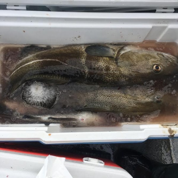 1.22.17 starship cod6