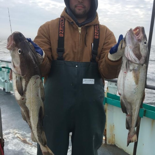 1.22.17 starship cod9