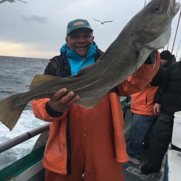 1.29.17 starship cod