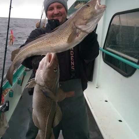 1.29.17 starship cod10