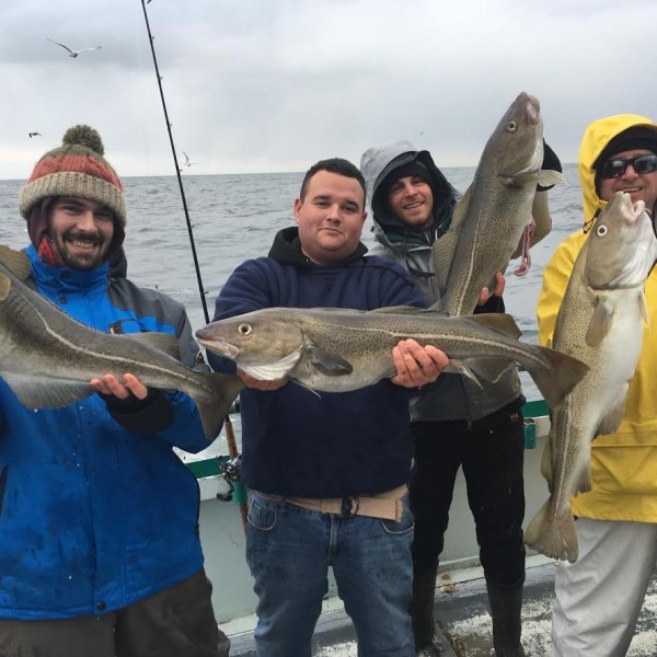 1.29.17 starship cod3