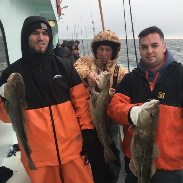 1.29.17 starship cod5