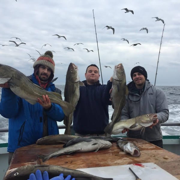 1.29.17 starship cod6