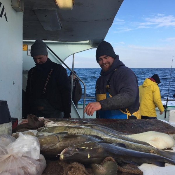 1.29.17 starship cod8