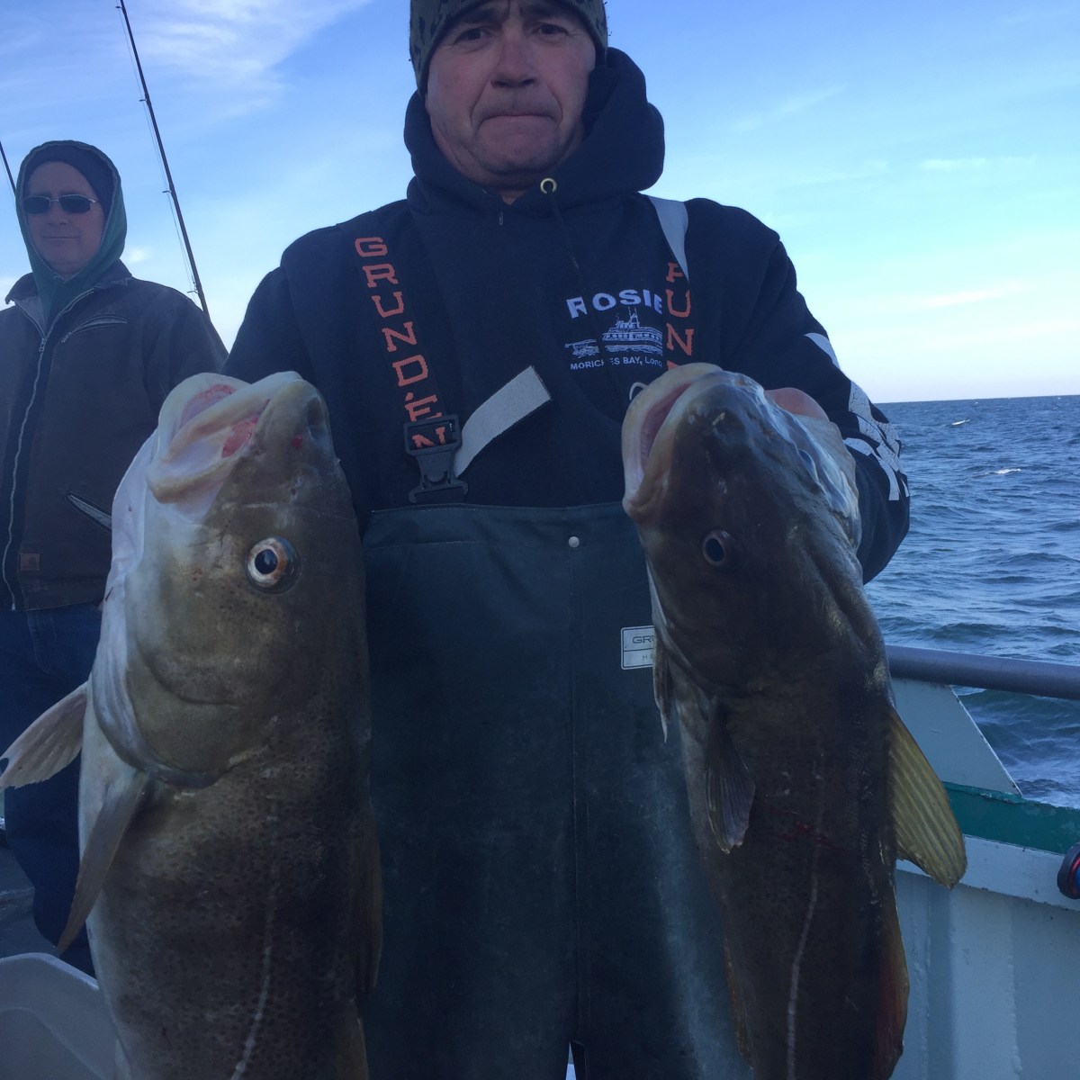 2016-1-17 Cod Starship 1