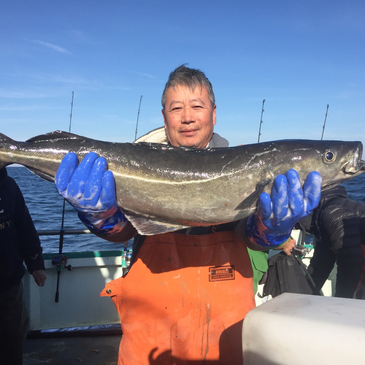 2016-1-17 Cod Starship 2