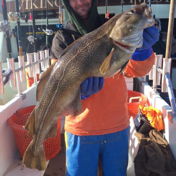 2017-1-16 Fivestar 2