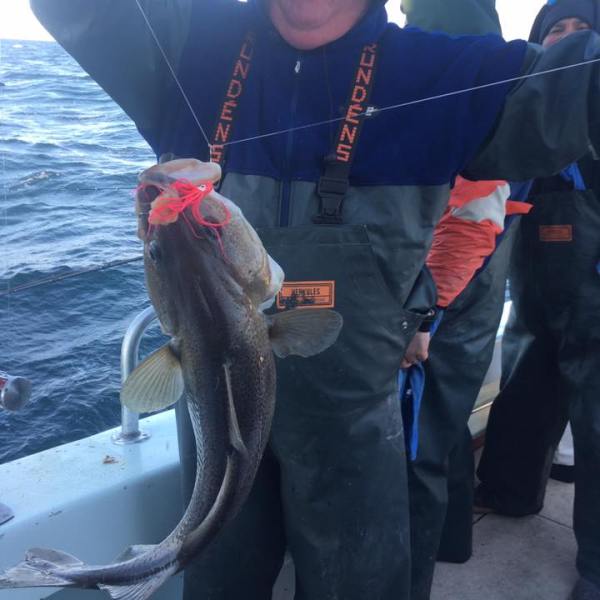 2017-1-16 Fivestar 3