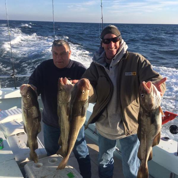 2017-1-16 Fivestar 5