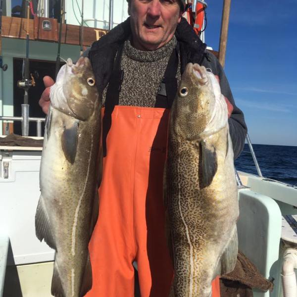 2017-1-16 Fivestar 7