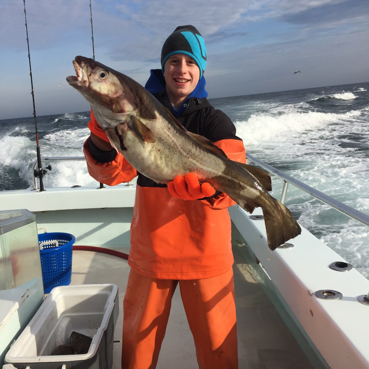 2017-1-22 Fivestar 1