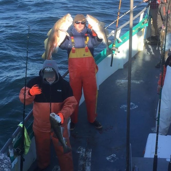 2.18..17 starship cod2