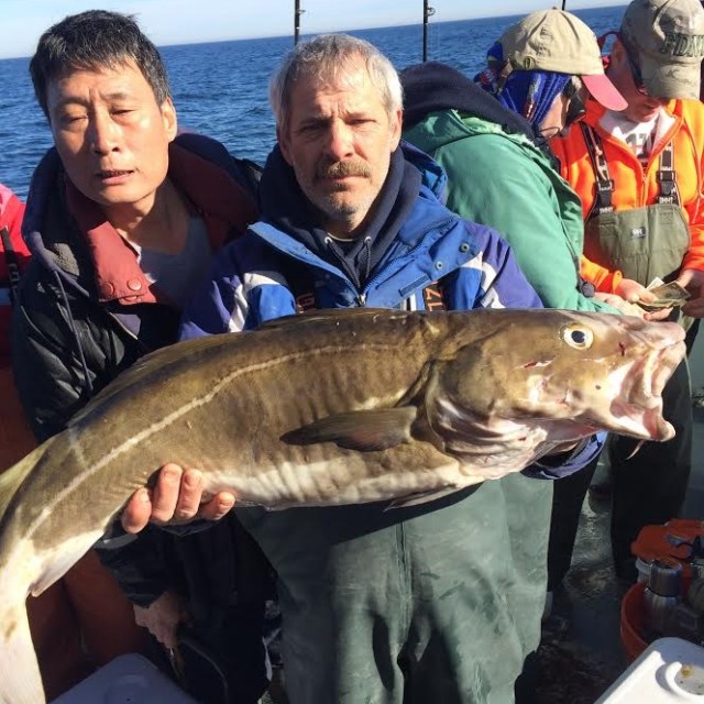 2.19.17 starship cod1