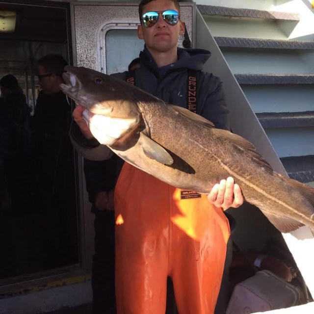 2.19.17 starship cod2