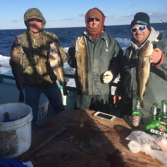 2.4.17 starship cod3