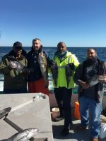 a group of people standing next to a fish in the water