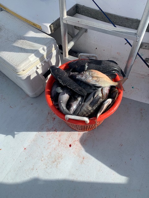 a close up of a motorcycle