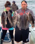 a group of fish in the water